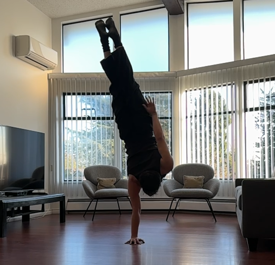 HANDSTAND PROGRAM
